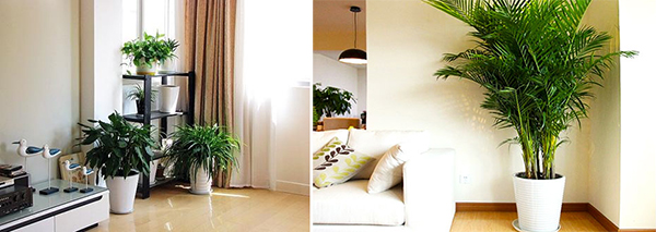 舒特通州開荒保潔